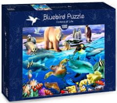 Blue Bird Puzzle Zvířecí svět