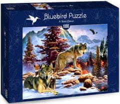 Blue Bird Puzzle Vlčí rodina