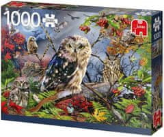 Jumbo Puzzle Sovy za svitu měsíce