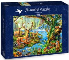 Blue Bird Puzzle Život v lese