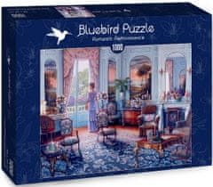 Blue Bird Puzzle Zámecký pokoj