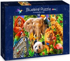 Puzzle Zvířata Asie - DĚTSKÉ PUZZLE