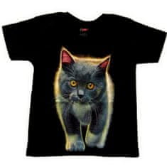 Motohadry.com Dětské tričko s kočkou TDKR 008, 4-6 let