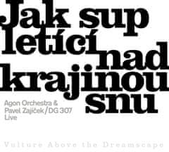 Agon Orchestra, Zajíček Pavel, DG307: Jak sup letící nad krajinou snu