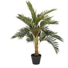 Europalms Kokosová palma, 90 cm