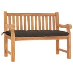 Greatstore Zahradní lavice s poduškou 120 cm masivní teak