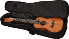 Cascha HH 2035E Concert Mahogany Ukulele Set EQ