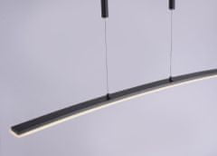 PAUL NEUHAUS PAUL NEUHAUS LED závěsné svítidlo, antracit, moderní design 2700-5000K PN 2530-13