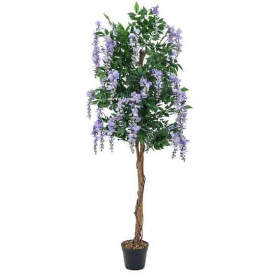 Europalms Vistárie fialová, 150 cm