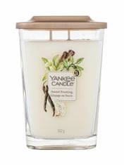 Yankee Candle 552g elevation collection sweet frosting