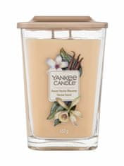 Yankee Candle 552g elevation collection sweet nectar