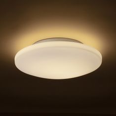 RED Design Rendl RENDL SARA LED 36 stropní opálové sklo/chrom 230V LED 24W IP44 3000K R13688