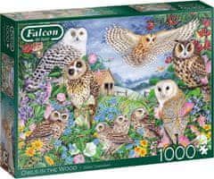Falcon  Puzzle Sovy v lese 1000 dílků