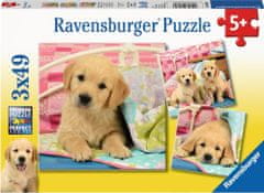 Ravensburger  Puzzle Roztomilá štěňata 3x49 dílků