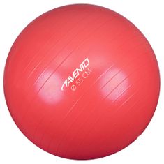 Greatstore Avento Fitness/gymnastický míč průměr 55 cm růžový