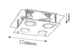 Rabalux Rabalux stropní svítidlo Naomi 2511