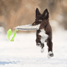 DINGO Hračka pro psa - přetahovadlo z vlny s rukojetí s amortizérem (bungee), bílá/růžová