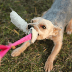 DINGO Hračka pro psa - přetahovadlo z vlny s rukojetí s amortizérem (bungee), bílá/zelená