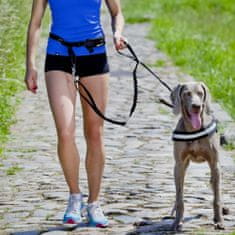 DINGO Sada pro spouštění psů: základní pás + vodítko se šokovým absorberem