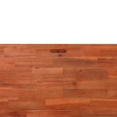 Petromila Vyvýšený záhon akáciové dřevo 100 x 100 x 50 cm