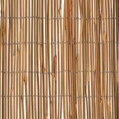 Greatstore Bambusový plot 500 x 100 cm