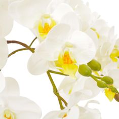 Greatstore Umělá rostlina orchidej s květináčem bílá 60 cm