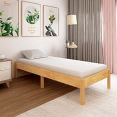 Greatstore Rám postele masivní dubové dřevo 100 x 200 cm