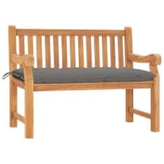 Greatstore Zahradní lavice s poduškou 120 cm masivní teak