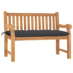 Greatstore Zahradní lavice s poduškou 120 cm masivní teak