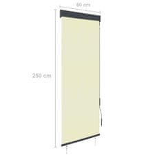 Greatstore Venkovní roleta 60 x 250 cm krémová