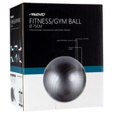 Greatstore Avento Fitness/gymnastický míč průměr 75 cm stříbrný