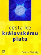 Dalibor Slivinský: Cesta ke královskému platu aneb jsou Češi líní, smrdí a umějí jen kritizovat?