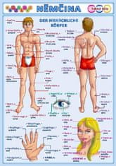 Petr a kolektiv Kupka: Obrázková němčina 3 - Lidské tělo
