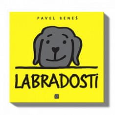 Pavel Beneš: Labradosti