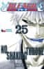 Tite Kubo: Bleach 25: No Shaking Throne