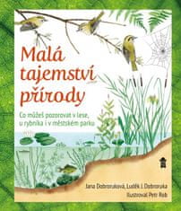 Luděk Jindřich Dobroruka: Malá tajemství přírody - Co můžeš pozorovat v lese, u rybníka i v městském parku