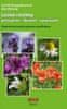 Jarmila Neugebauerová: Léčivé rostliny * pěstujeme * sbíráme * využíváme * Kapesní průvodce zelenou medicínou