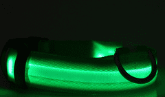 Palkar svítící obojek z popruhu pro psy 42-59 cm x 25 mm zelená