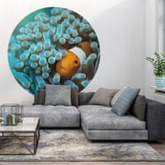 Vidaxl WallArt Kulatá nástěnná malba Nemo the Anemonefish, 190 cm