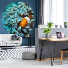 Vidaxl WallArt Kulatá nástěnná malba Nemo the Anemonefish, 190 cm