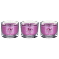 Yankee Candle Sada votivních svíček ve skle Wild Orchid 3 x 37 g