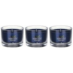 Yankee Candle Sada votivních svíček ve skle Bayside Cedar 3 x 37 g