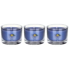 Yankee Candle Sada votivních svíček ve skle Black Tea & Lemon 3 x 37 g