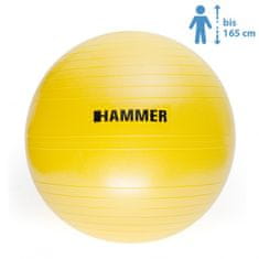 Hammer Gymnastický míč HAMMER Gymastic ball Anti-burst, 55cm žlutý