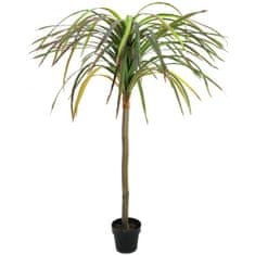 Europalms Dracena červeno-zelená, 170 cm