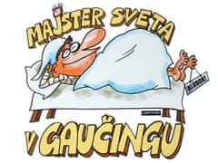 Divja Noční košile Mistr světa v gaučingu SK - L