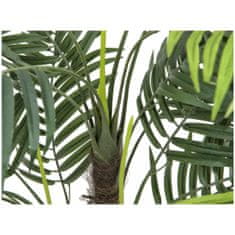 Europalms Areca palma, 3 kmeny, 110 cm