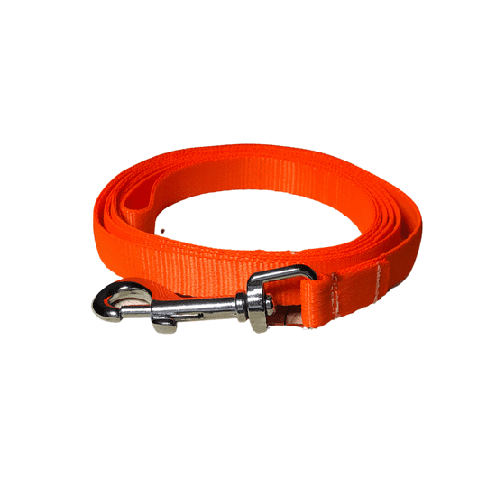 Palkar vodítko z popruhu pro psy 150 cm x 16 mm oranžová