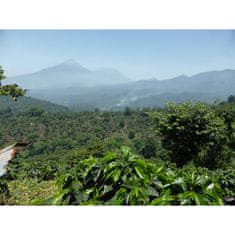 COFFEEDREAM Káva GUATEMALA HUEHUETENANGO - Hmotnost: 1000g, Typ kávy: Zrnková, Způsob balení: běžný třívrstvý sáček