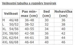 Andrie PS 5602 šedé pánské trenýrky Barva: šedá, Velikost: M